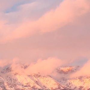 Meet your Posher, Marla